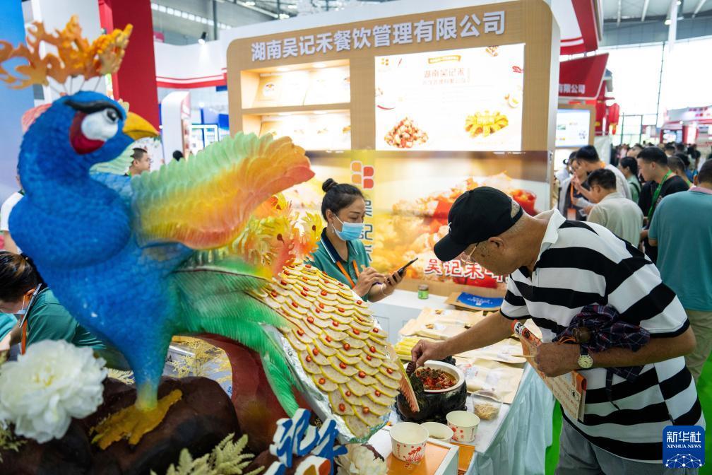 白菜送彩金大全网